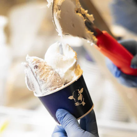 【横須賀】YOKOSUKA GELATO FACTORYが届ける季節と地元の味わい